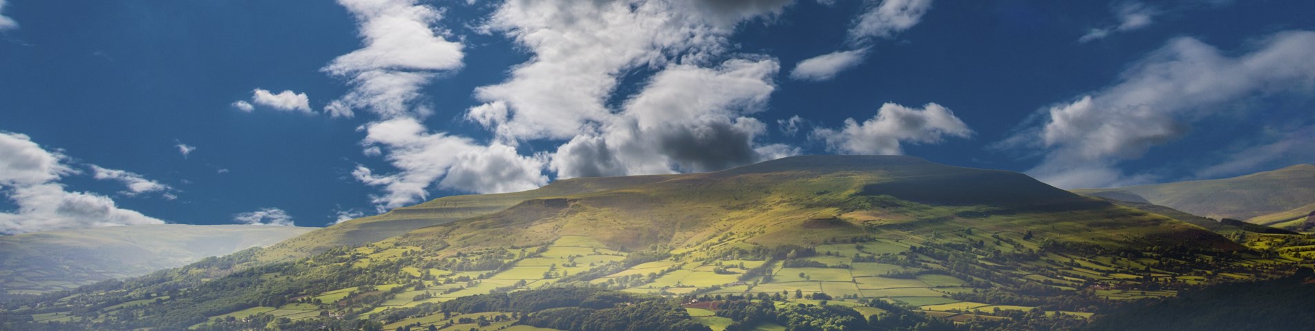 shutterstock_104807726.jpg