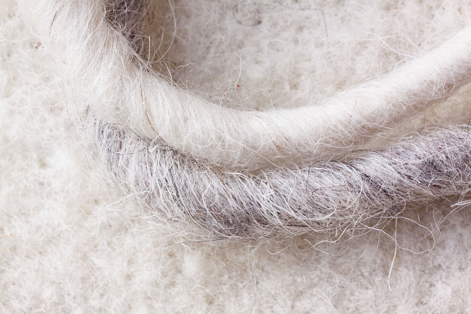Organic wool