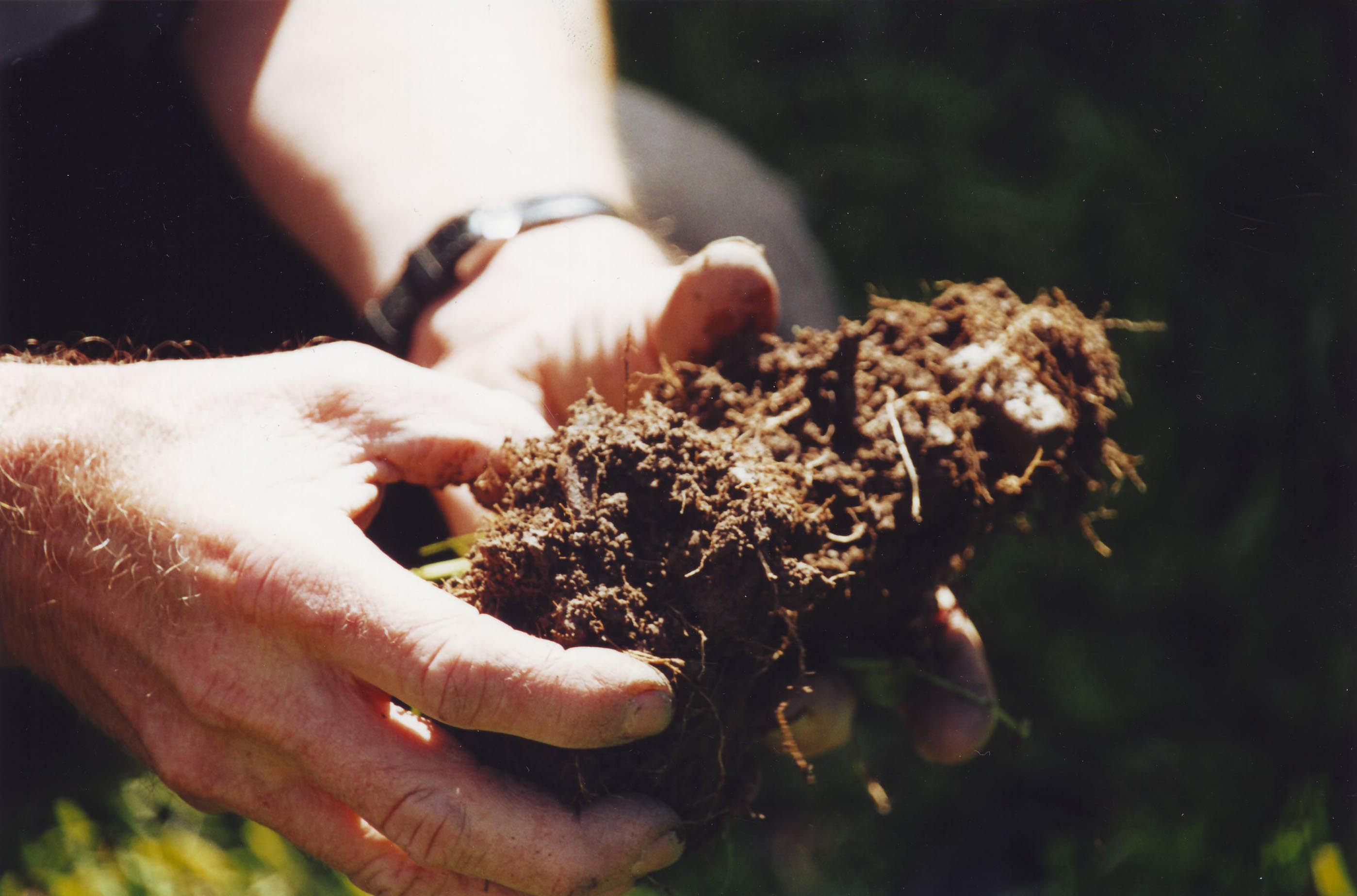 SFI budget update, November 2024