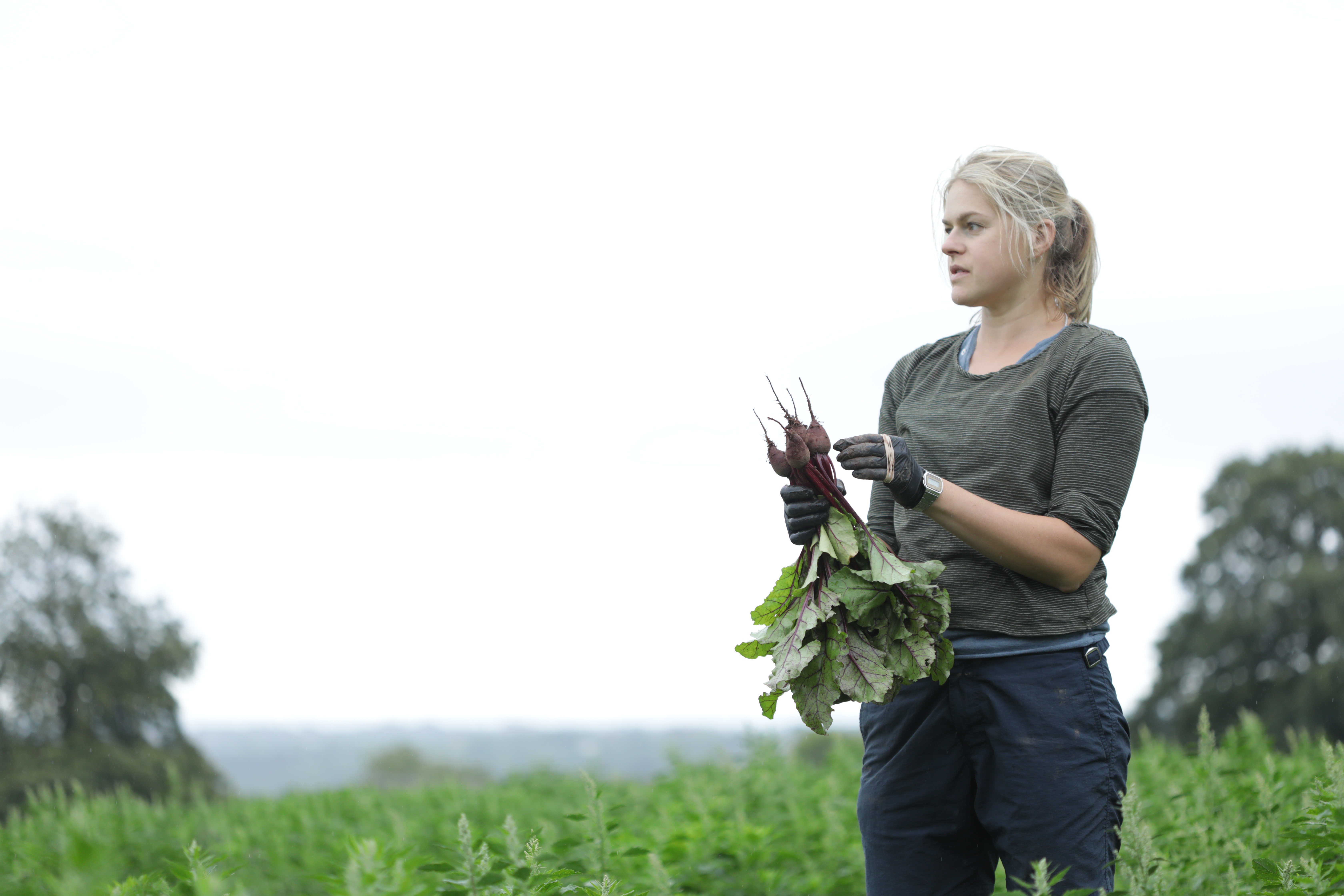 Welcome news for SFI applicants