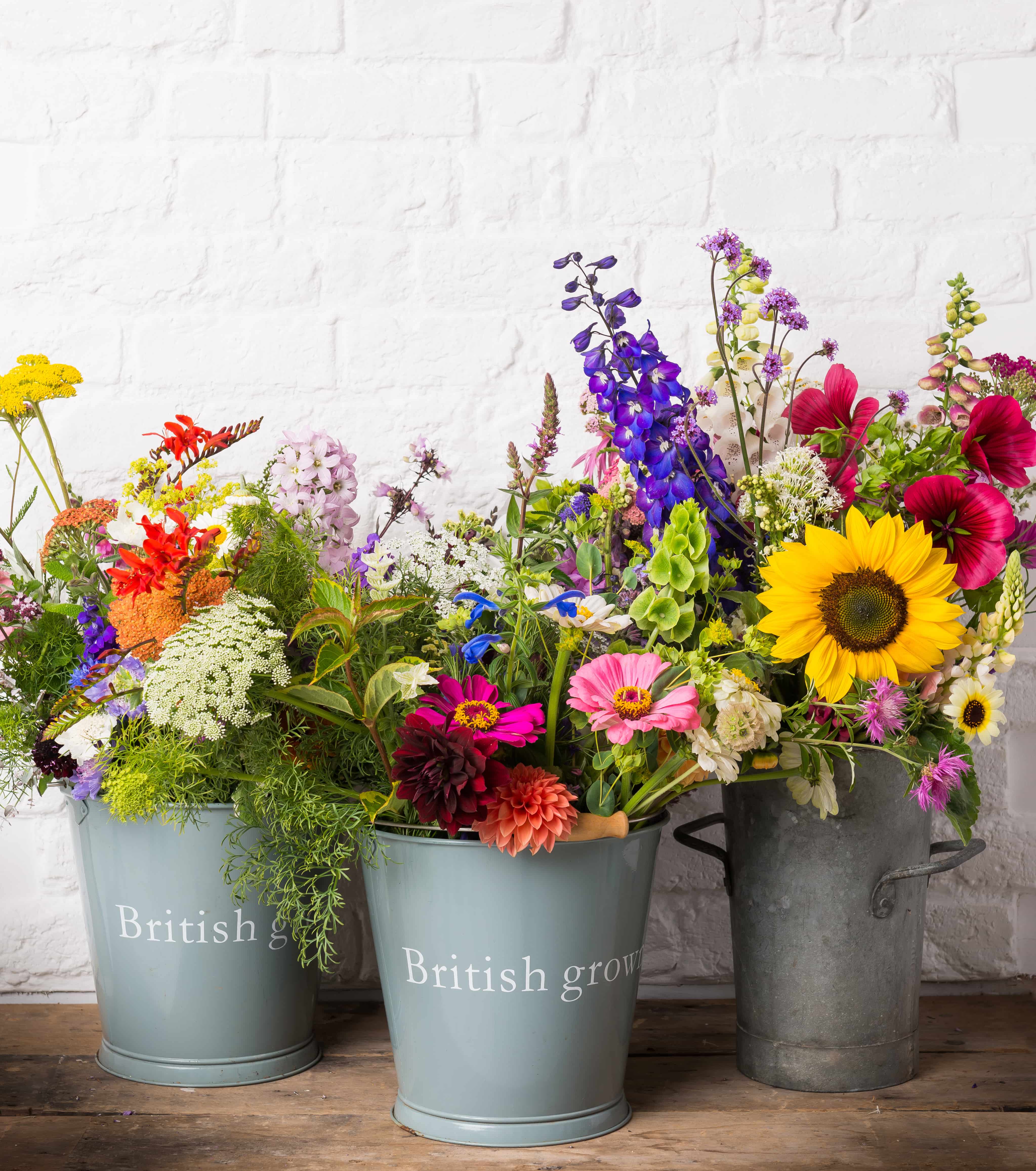 Organic flowers