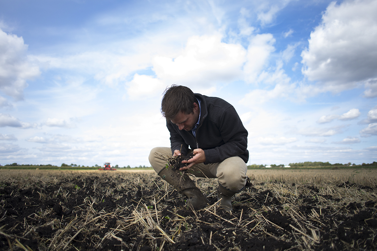 What is agroecology?