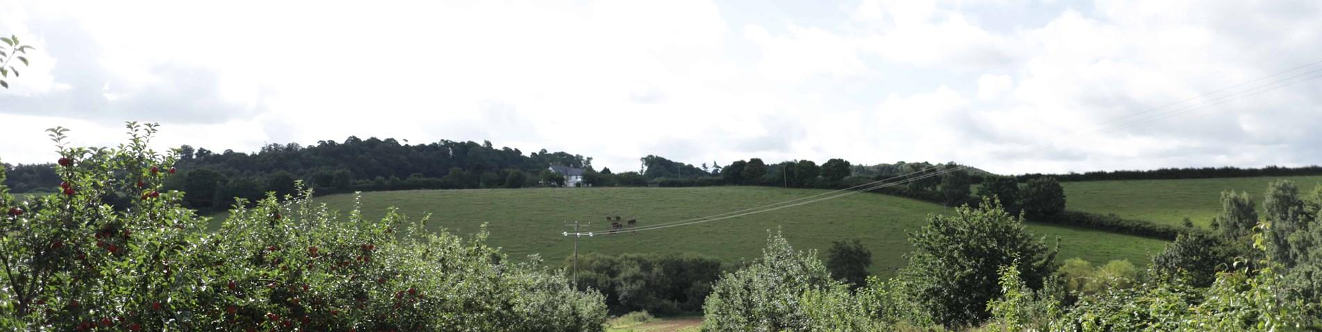 Shillingford_263.JPG
