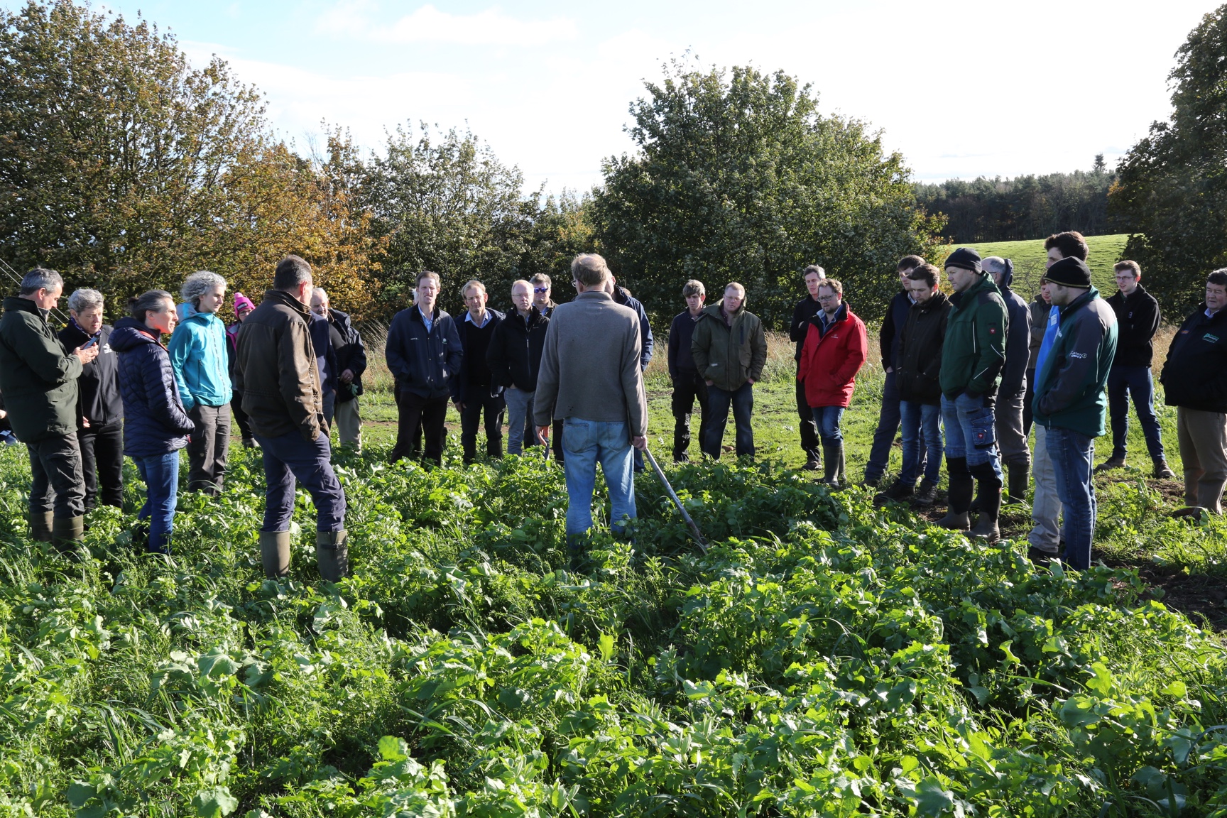 First Plant Teams meeting Oct 23 2018