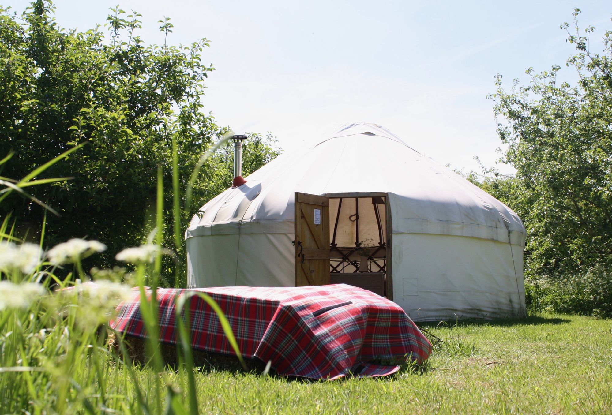 yurt nestled in the orchard at fen end farm