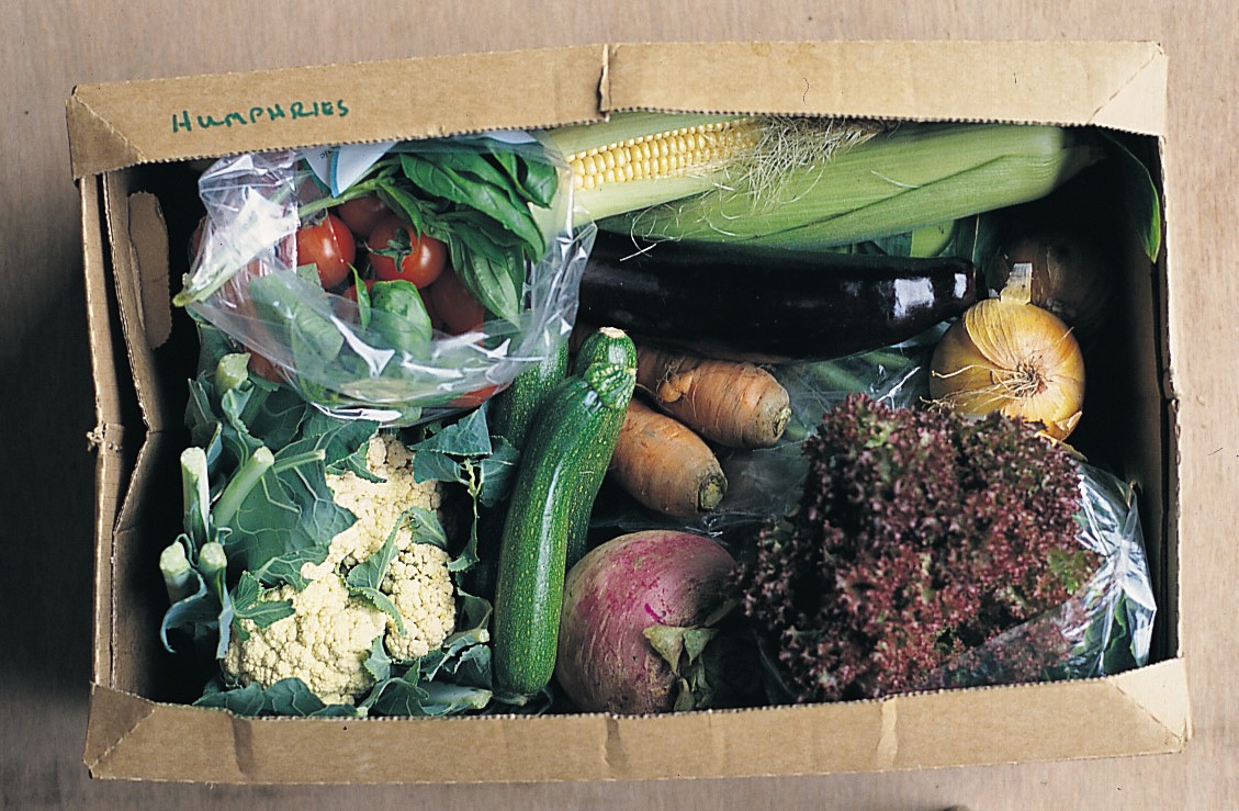 veg box packed with fresh veg