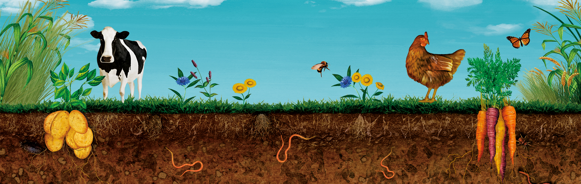 Homepage Banner Image FTGU.jpg