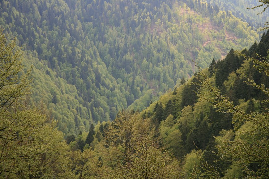 Romania