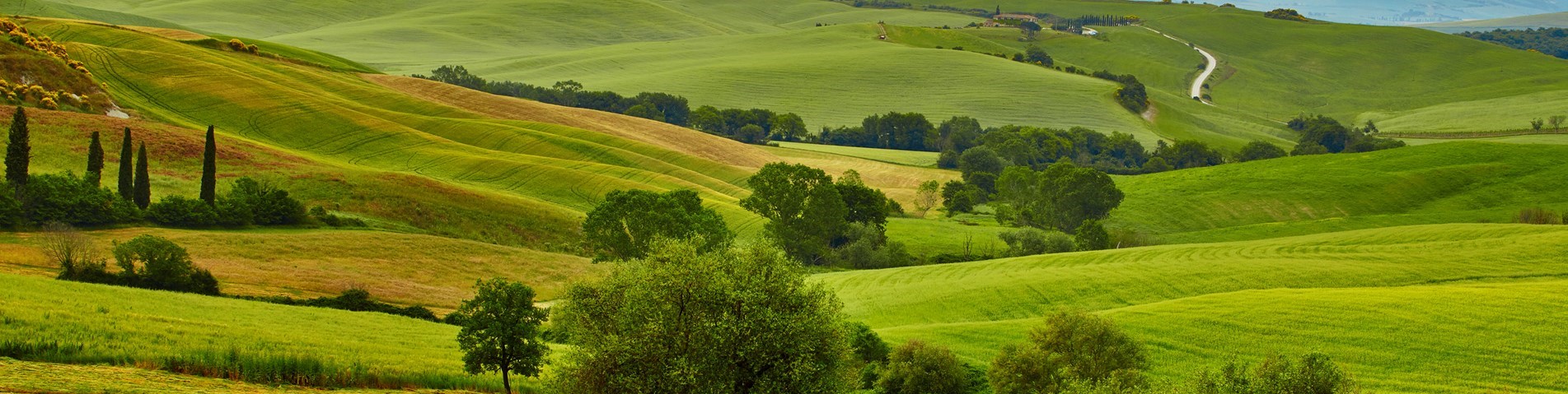 Rolling Fields.jpg