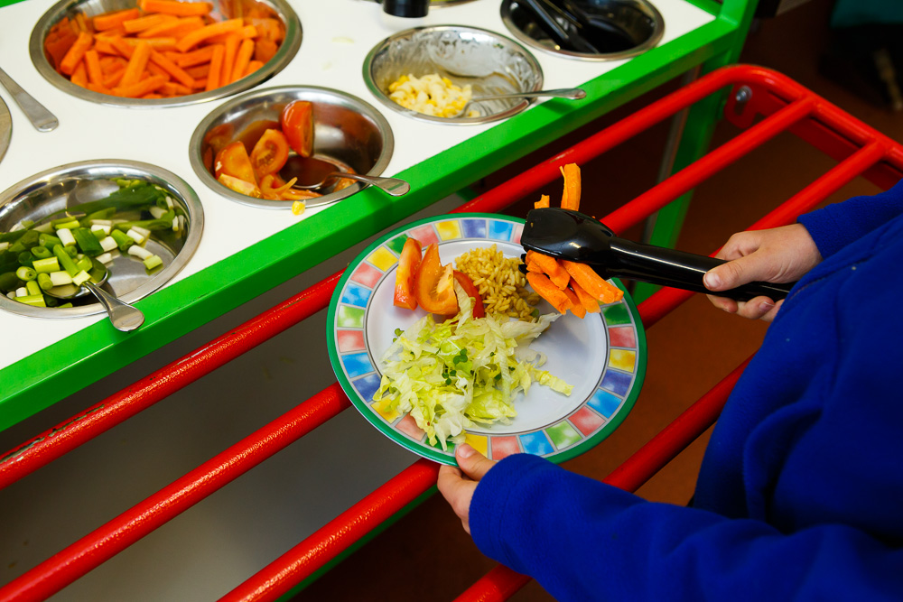 Schools and hospitals should stop serving ultra-processed foods, Lords hear