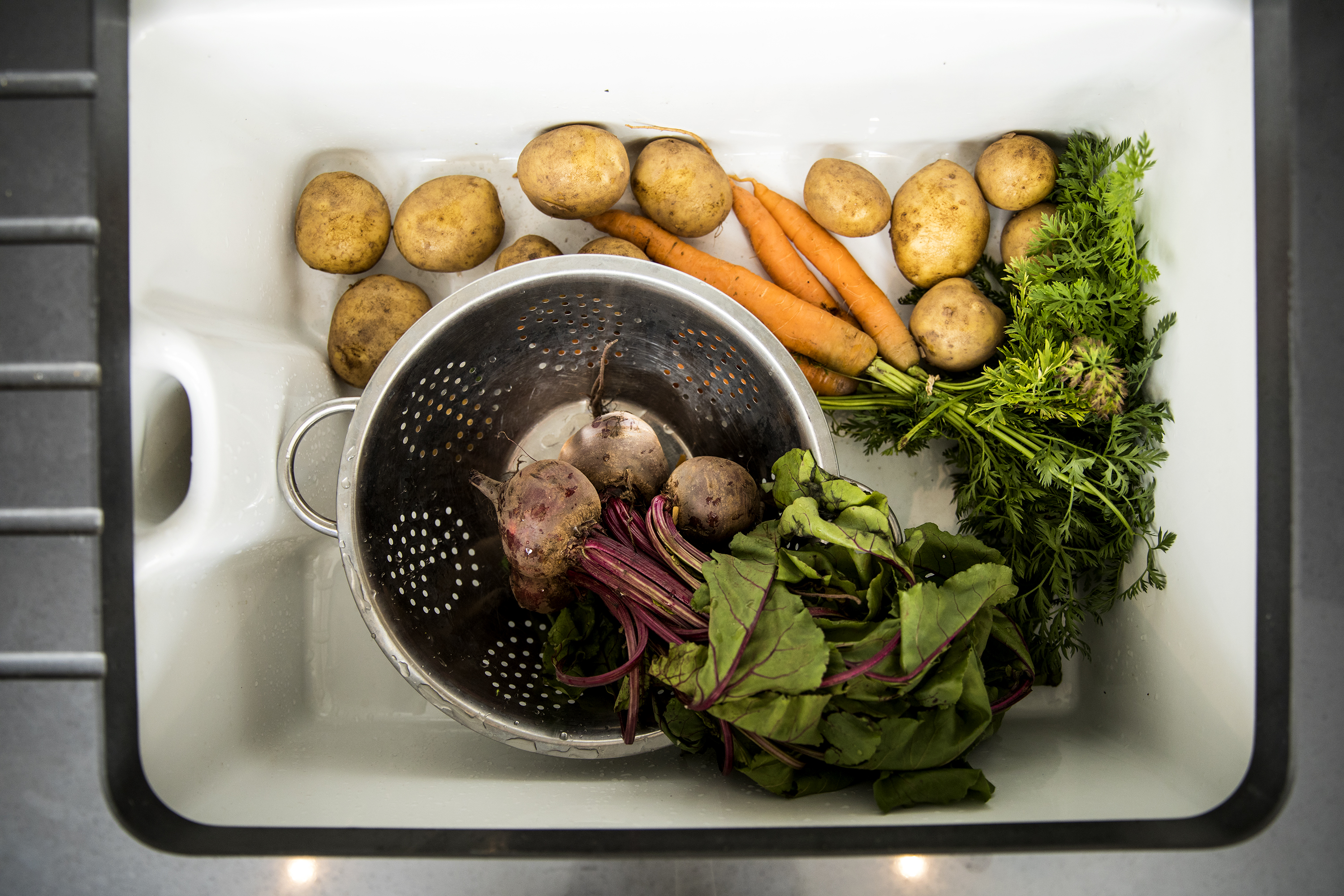 sink full of fresh seasonal veg