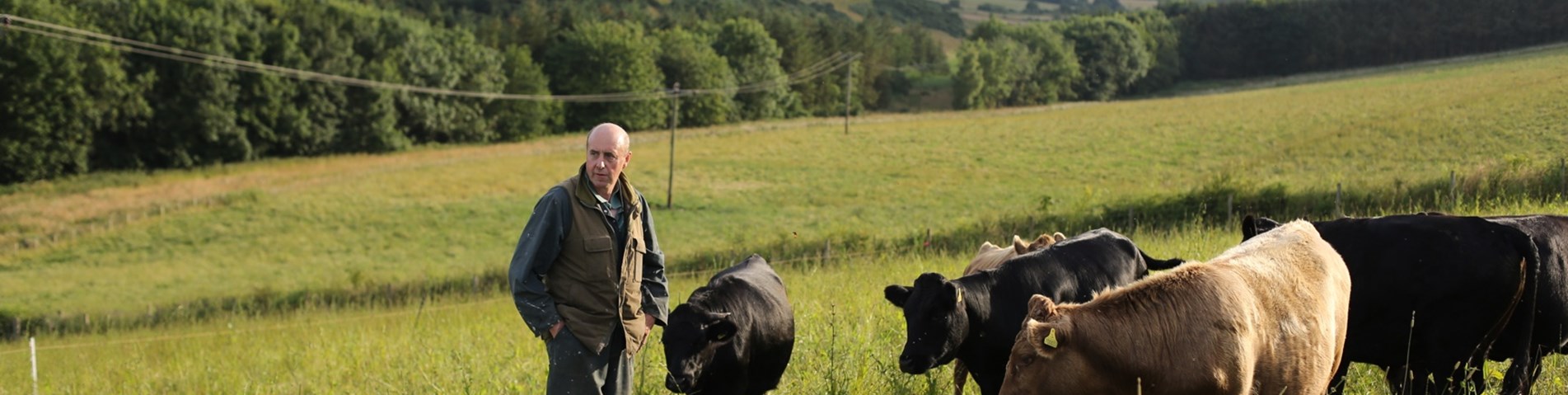 RobertCampbell_WesterLogieFarm_July2019_72dpi.JPG