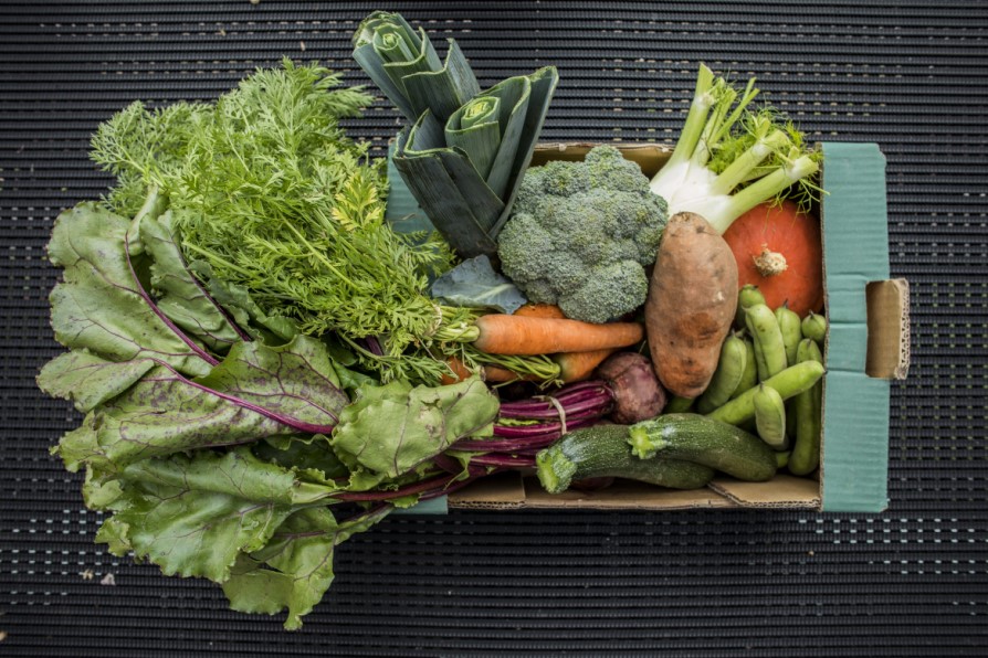 veg box filled with fresh organic veggies