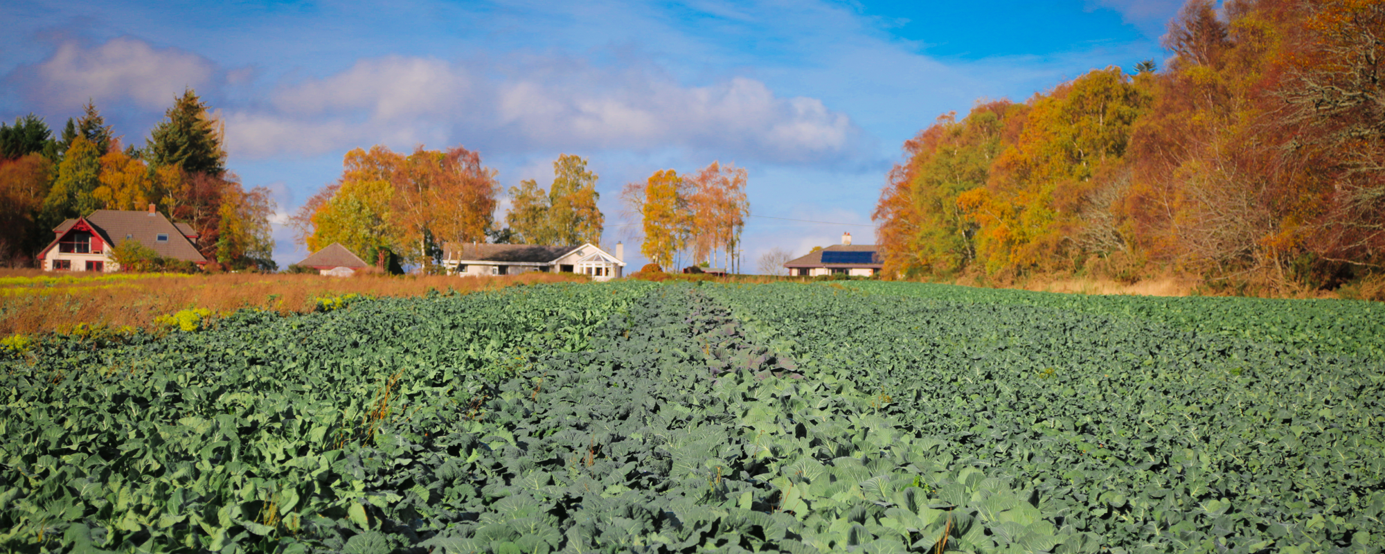Full achnagairn farm highland council.png