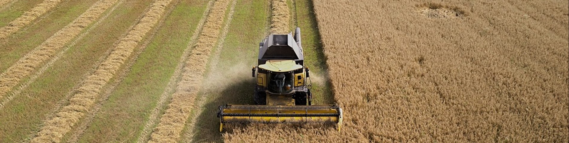 Organic Arable Image.jpg