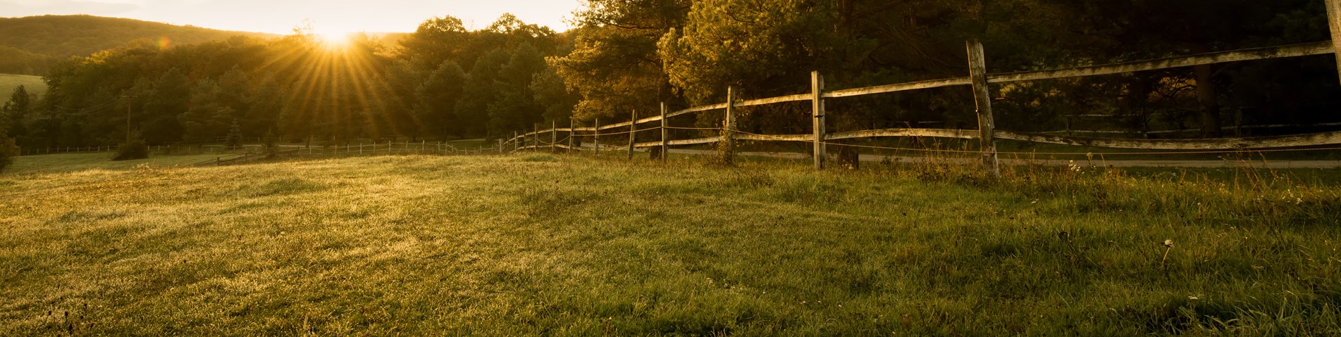 Farm scene
