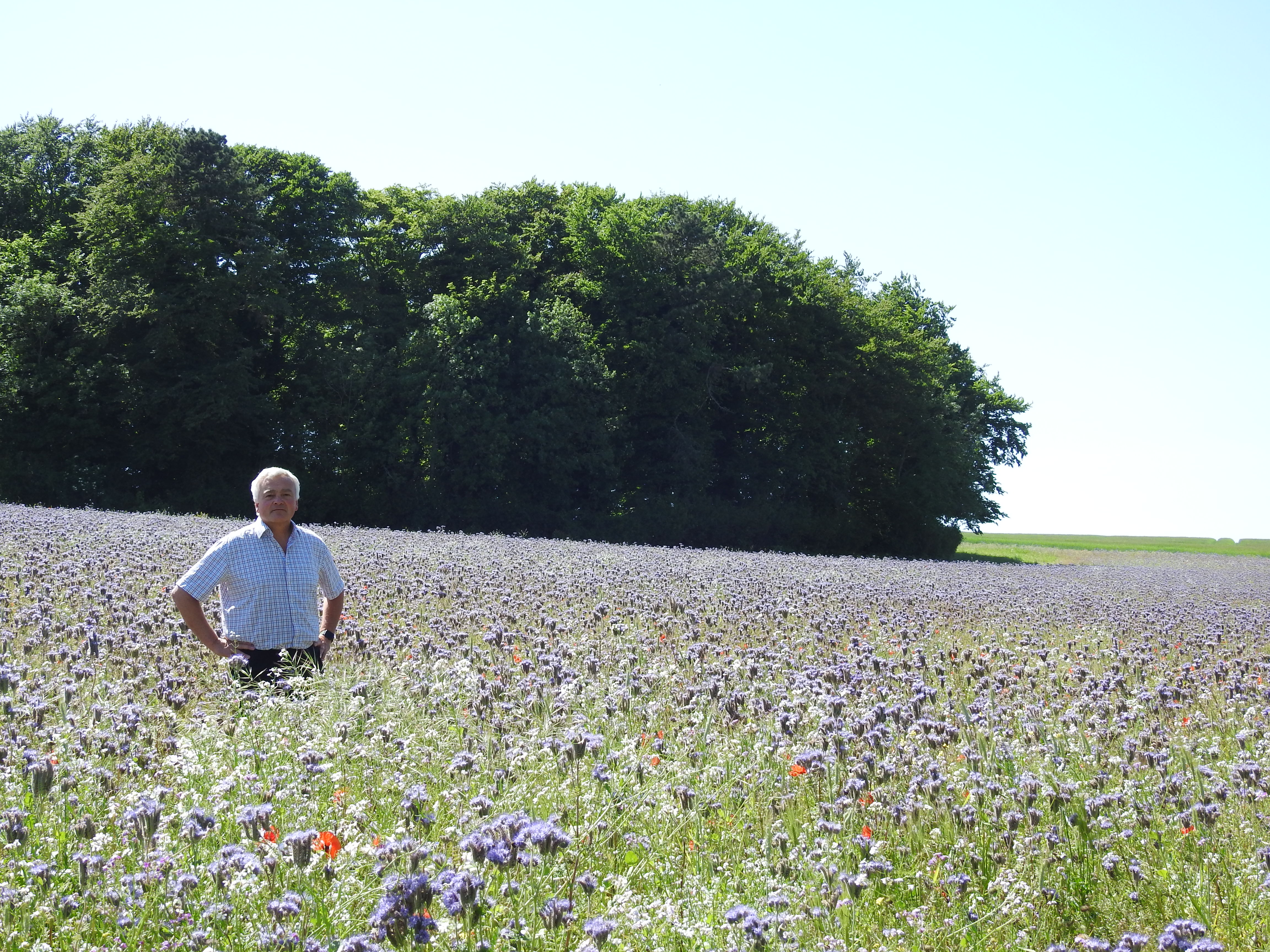 Ken Hill Estate - 1551 hectare arable farm