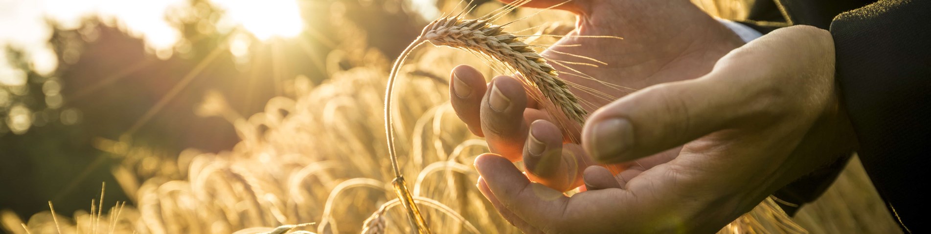 Arable (1)
