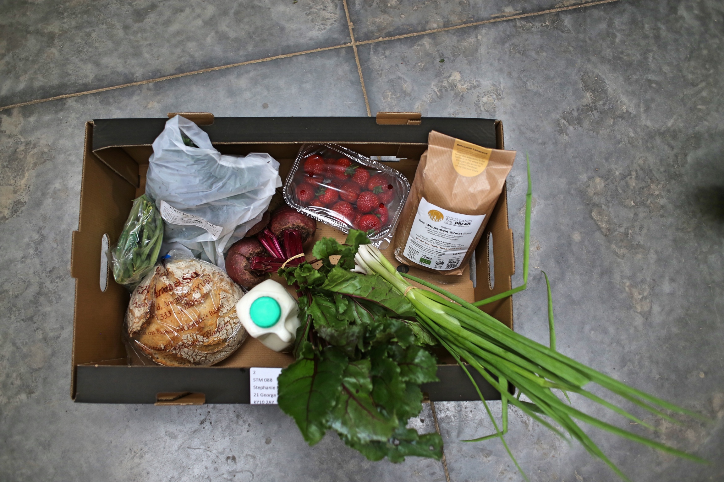 Vegbox_Bowhouse_72dpi.jpg