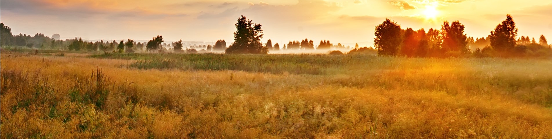 Land Trust Landscape 4