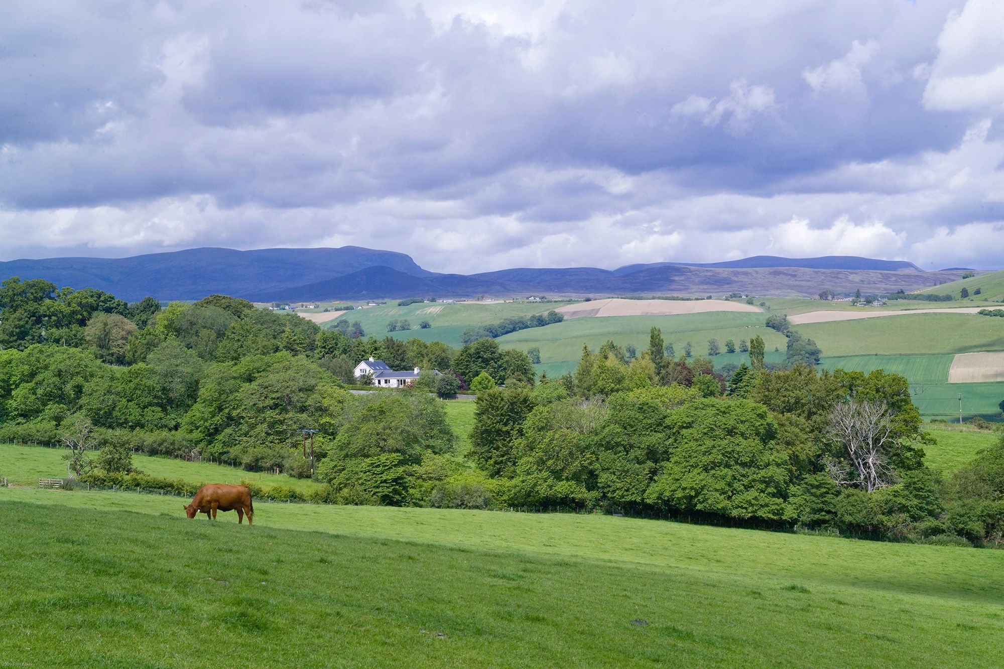 Scotland’s 2030 climate target slips