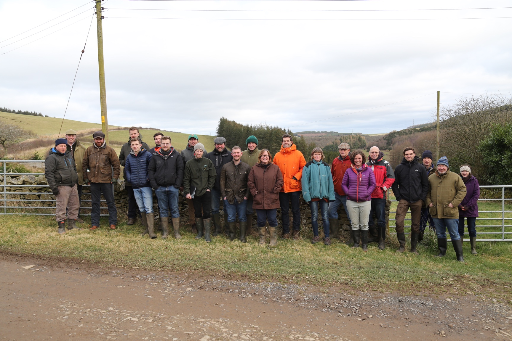 Meet the mob grazers