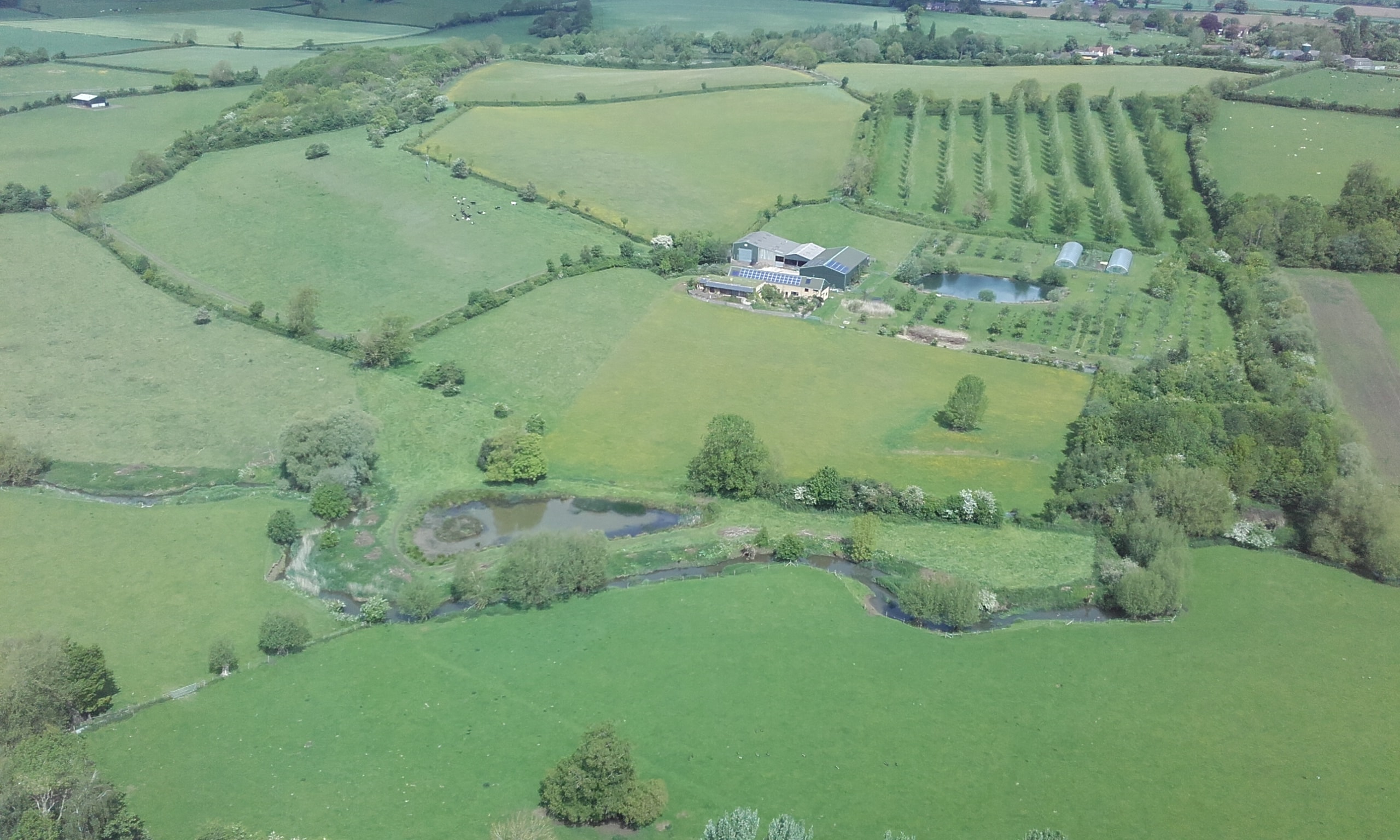 farm with hedges