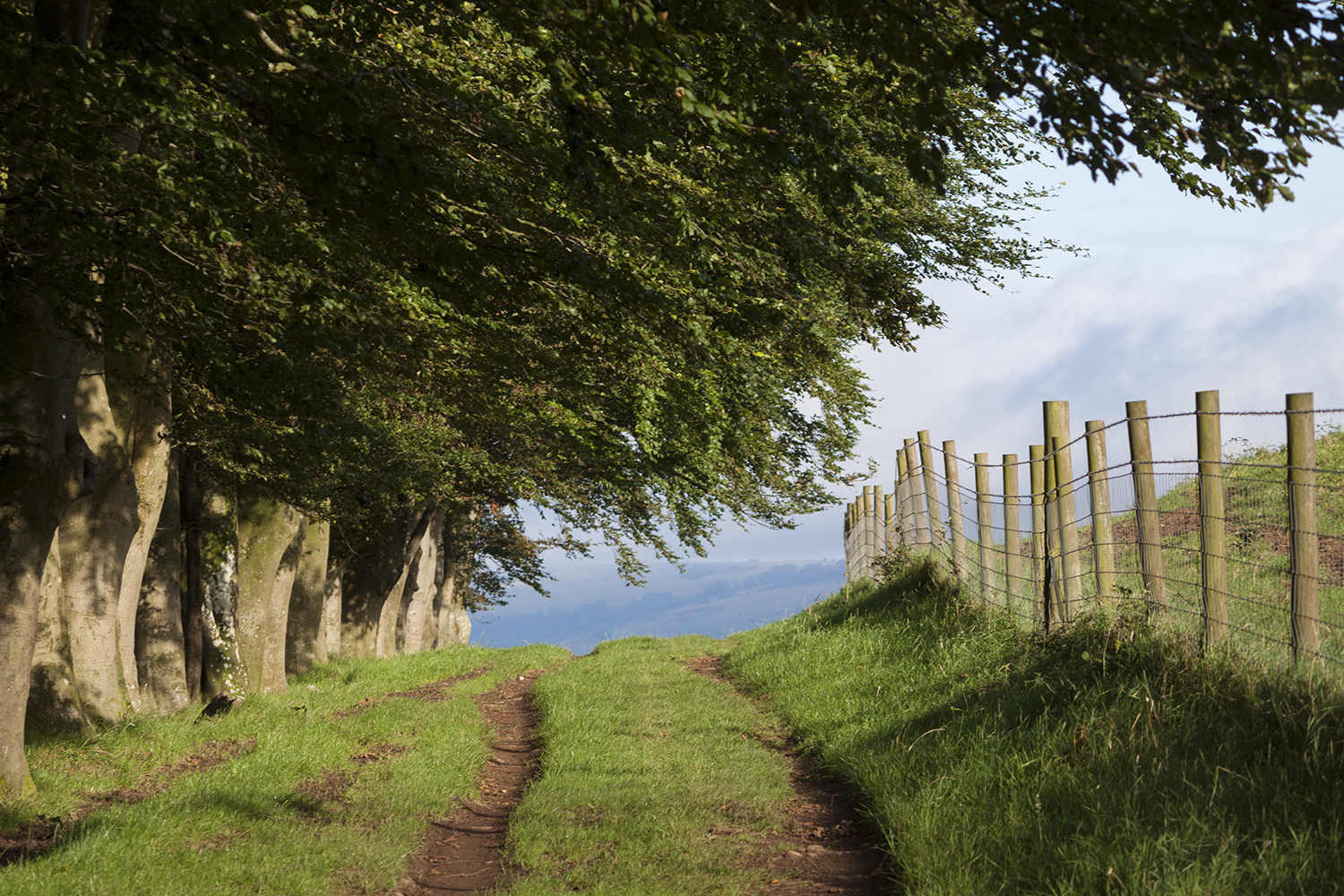Future proof your farm: farm payments and resources