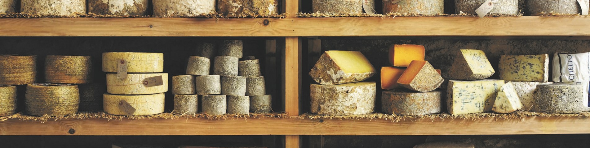 cheese1.jpg