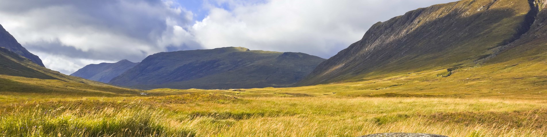 Glen near Glencoe with boulder and grassland and heather - Shutterstock.jpg