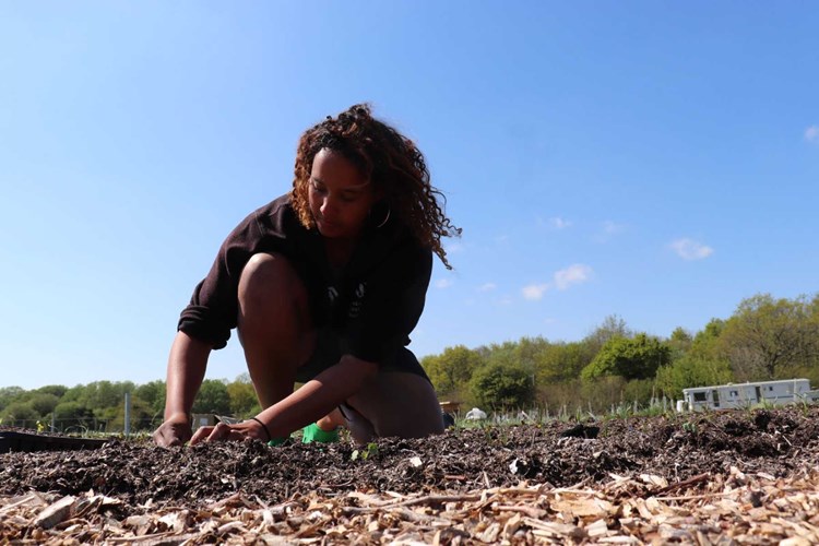 Sinead Fenton Aweside Farm