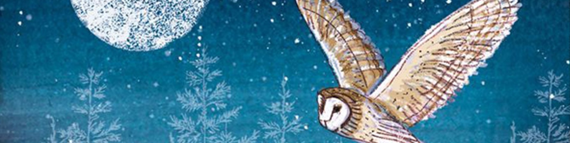 Banner image - Ethical shop owl.jpg