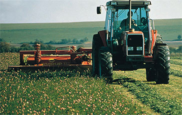 A new era for UK organic cereals