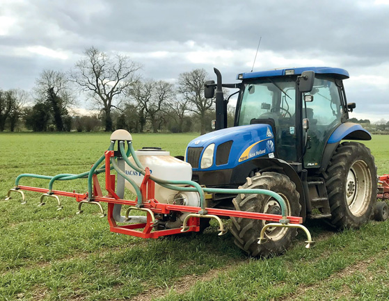 Innovative Farmers Living Mulches field lab, Green Acres Farm, Shropshire