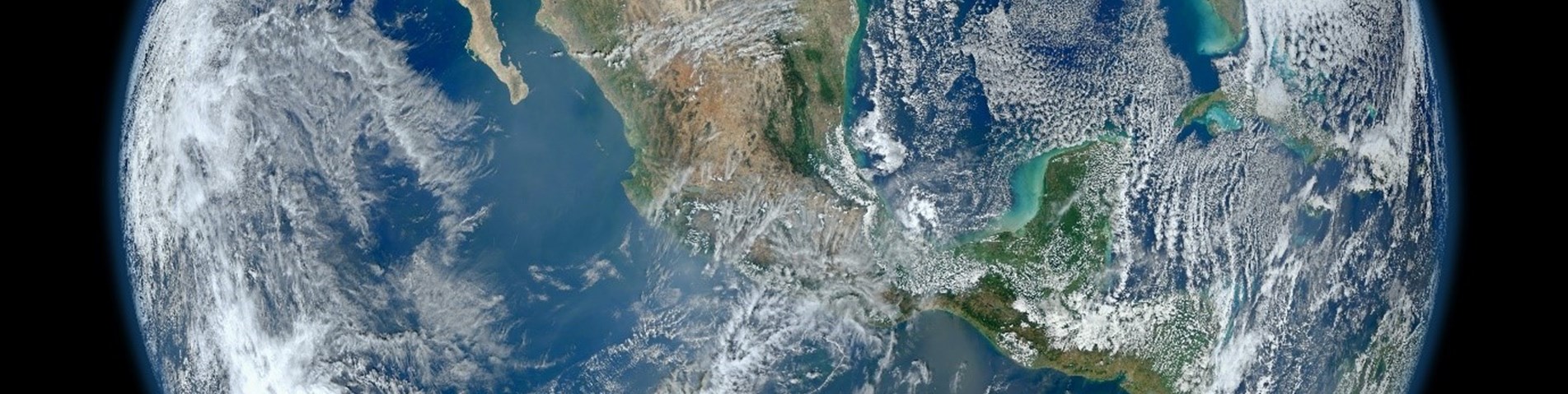 Deloitte web image banner.jpg