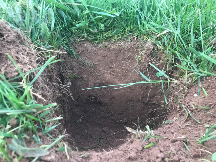 Soils at Peelham Farm