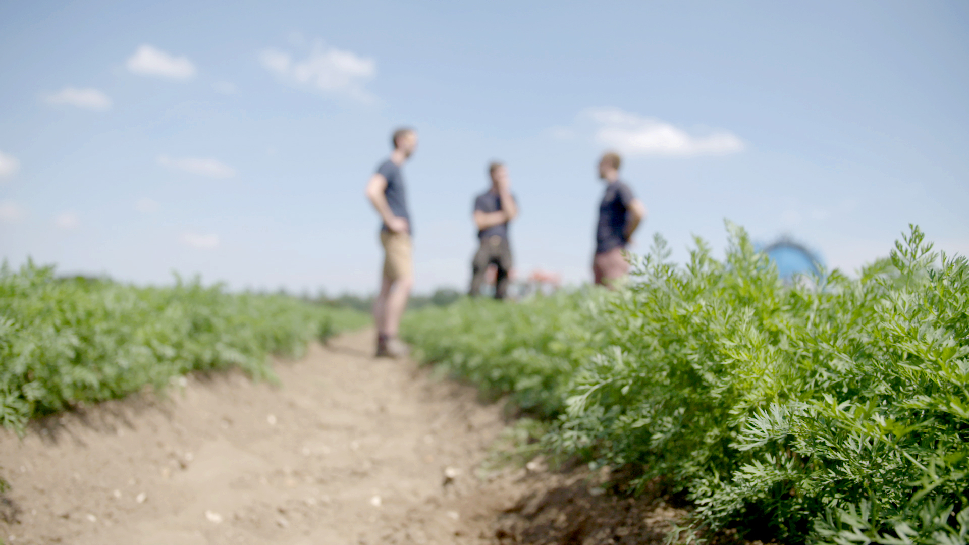 Spring 2025 SFI update