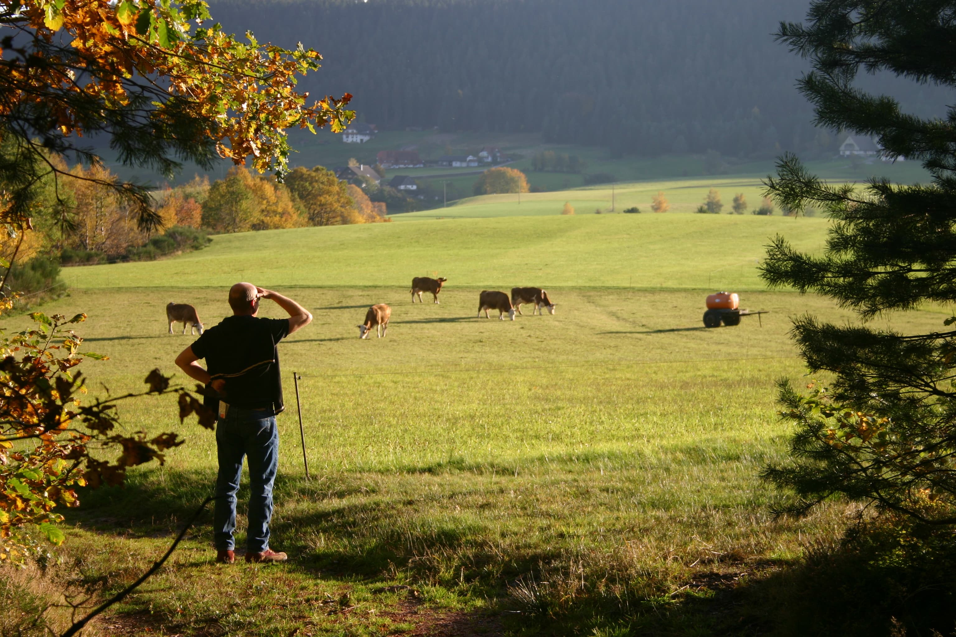 What is the food system we need for climate and nature, and what role do farm animals have in that?