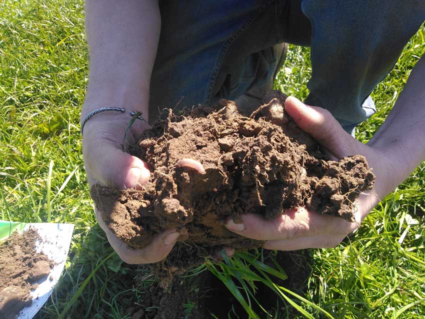 Soil analysis as part of Carbon Assets for Soil Health project, Woodhall Growers, Shropshire