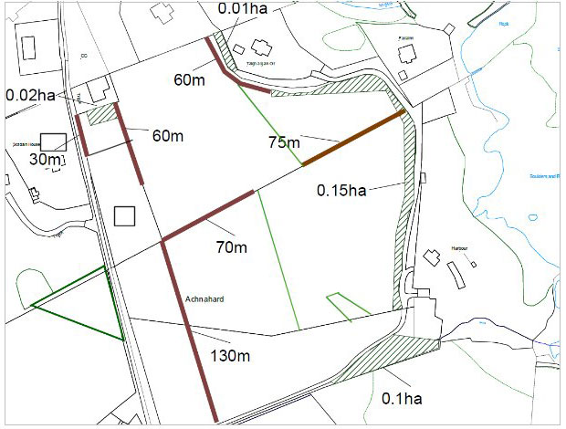 Planting plan