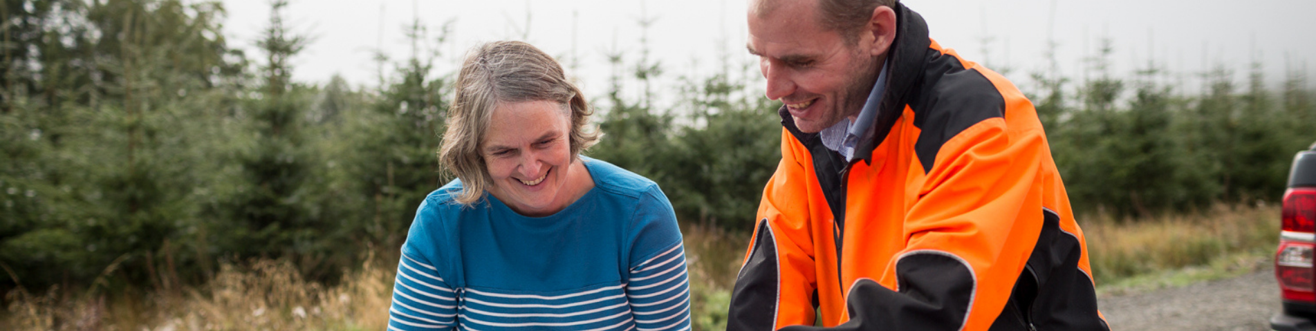Contact the forestry team