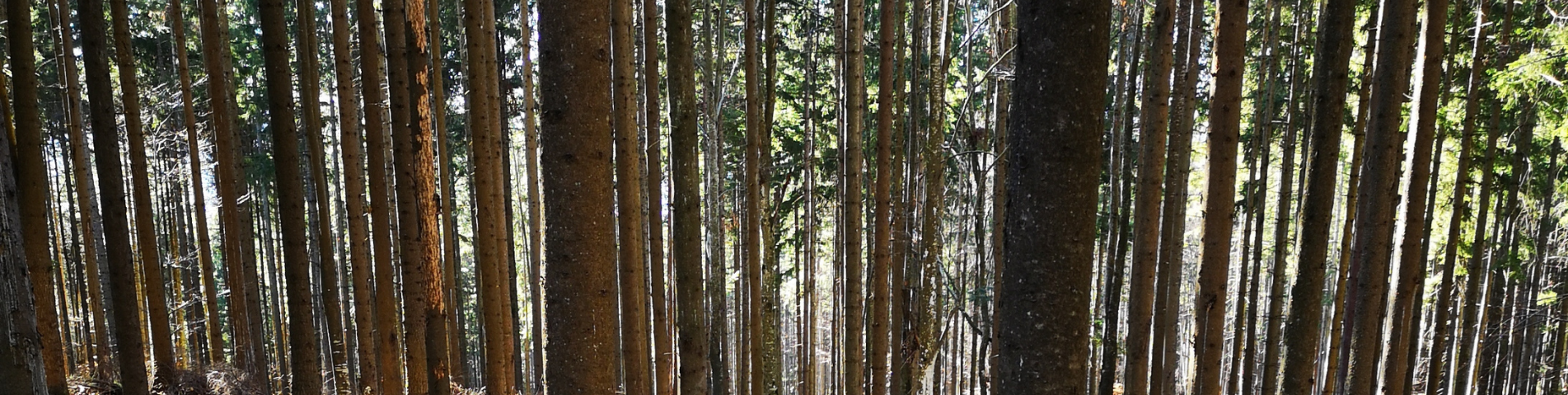 soil-association-certification-forestry-tornator-PEFC.png