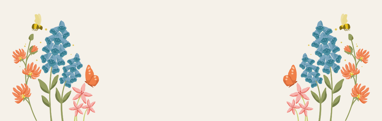 web banner 1 (2).png