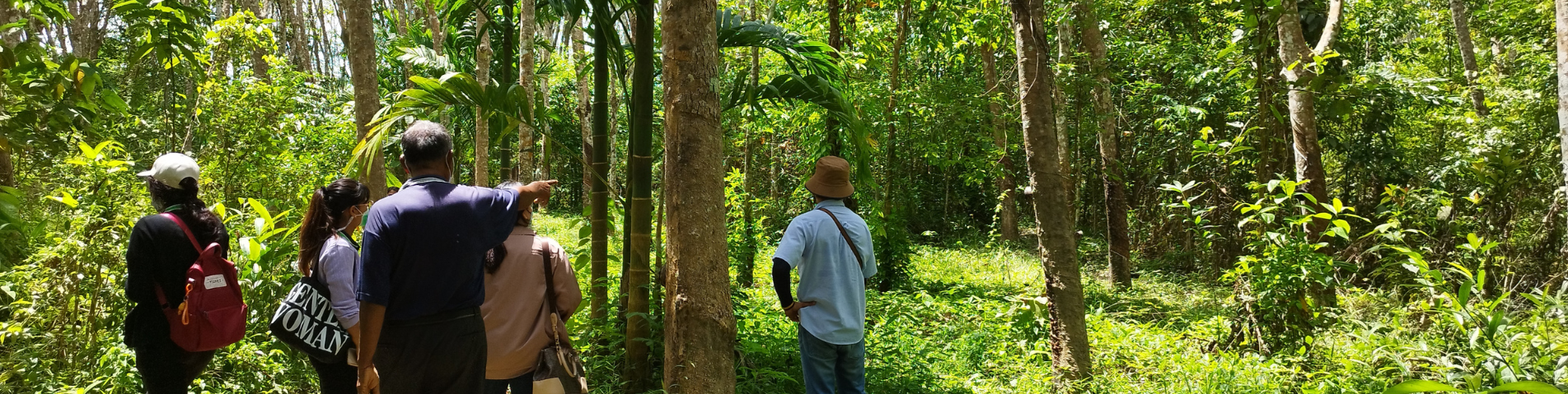 soil-association-certification-forestry-training.png