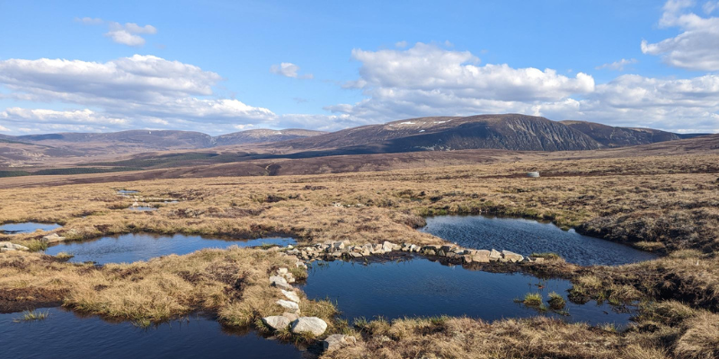 Peatland Code project in the Moorfoot Hills in Scotland