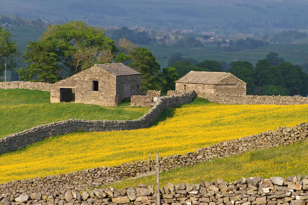 May 2025 Sustainable Farming Incentive (SFI) update