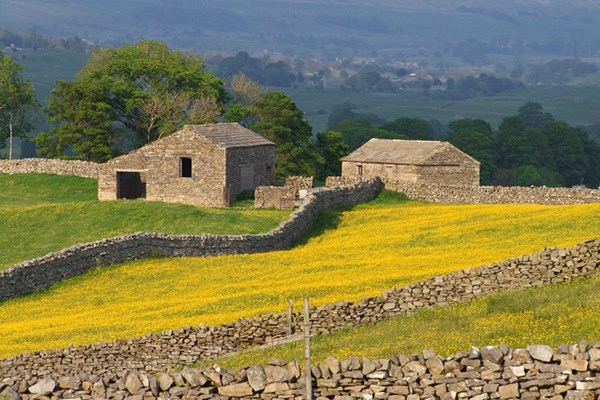 rural farm