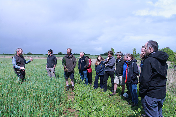 Farm walk