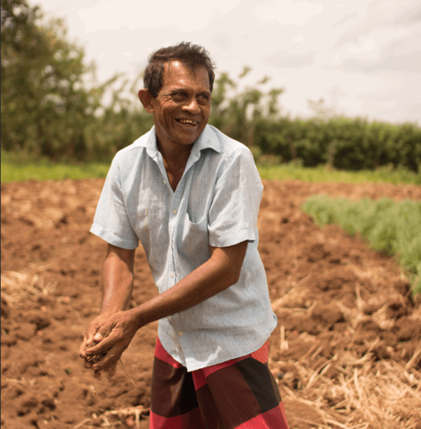 Tea farmer