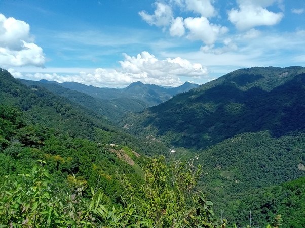 Mexico hills
